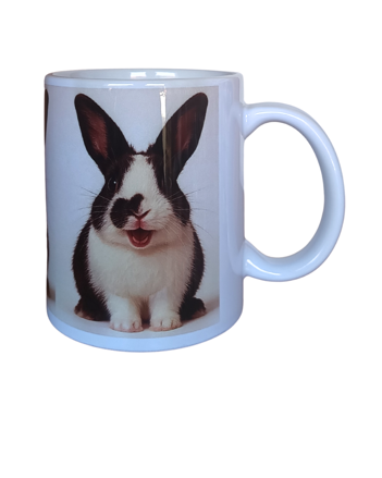 králík 21