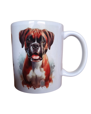 BOXER 47