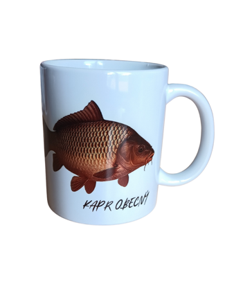 KAPR 06