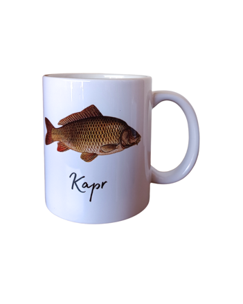 KAPR 8