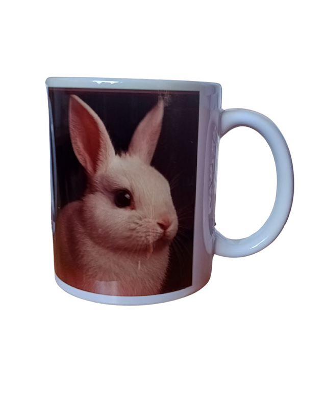 králík 22 králík 22