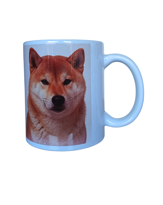 SHIBA INU - 35 SHIBA INU - 35